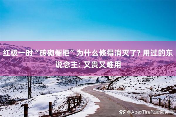 紅極一時“磚砌櫥柜”為什么倏得消滅了? 用過的東說念主: 又貴又難用